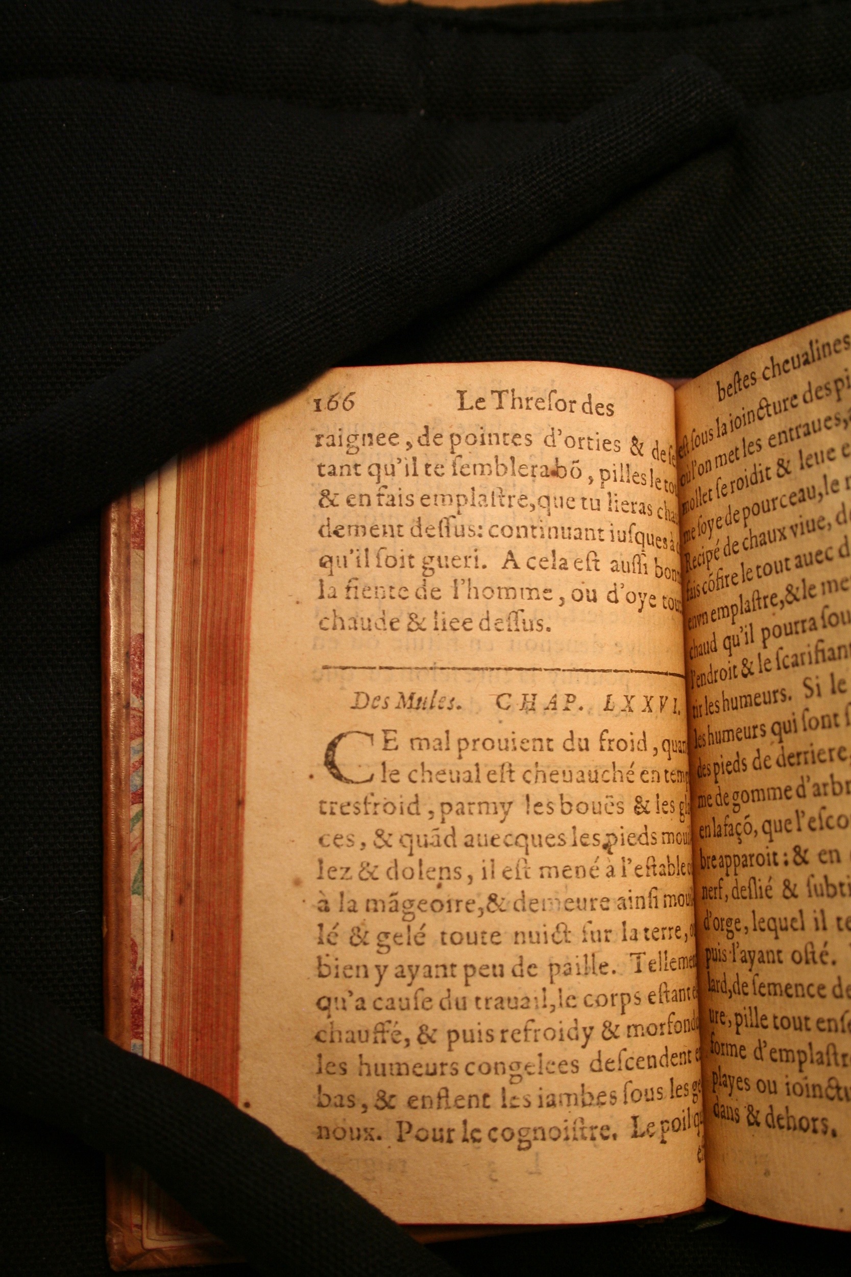 1591 - Pierre Chastaing et Benoît Rigaud - Trésor des bêtes chevalines - BM Bordeaux