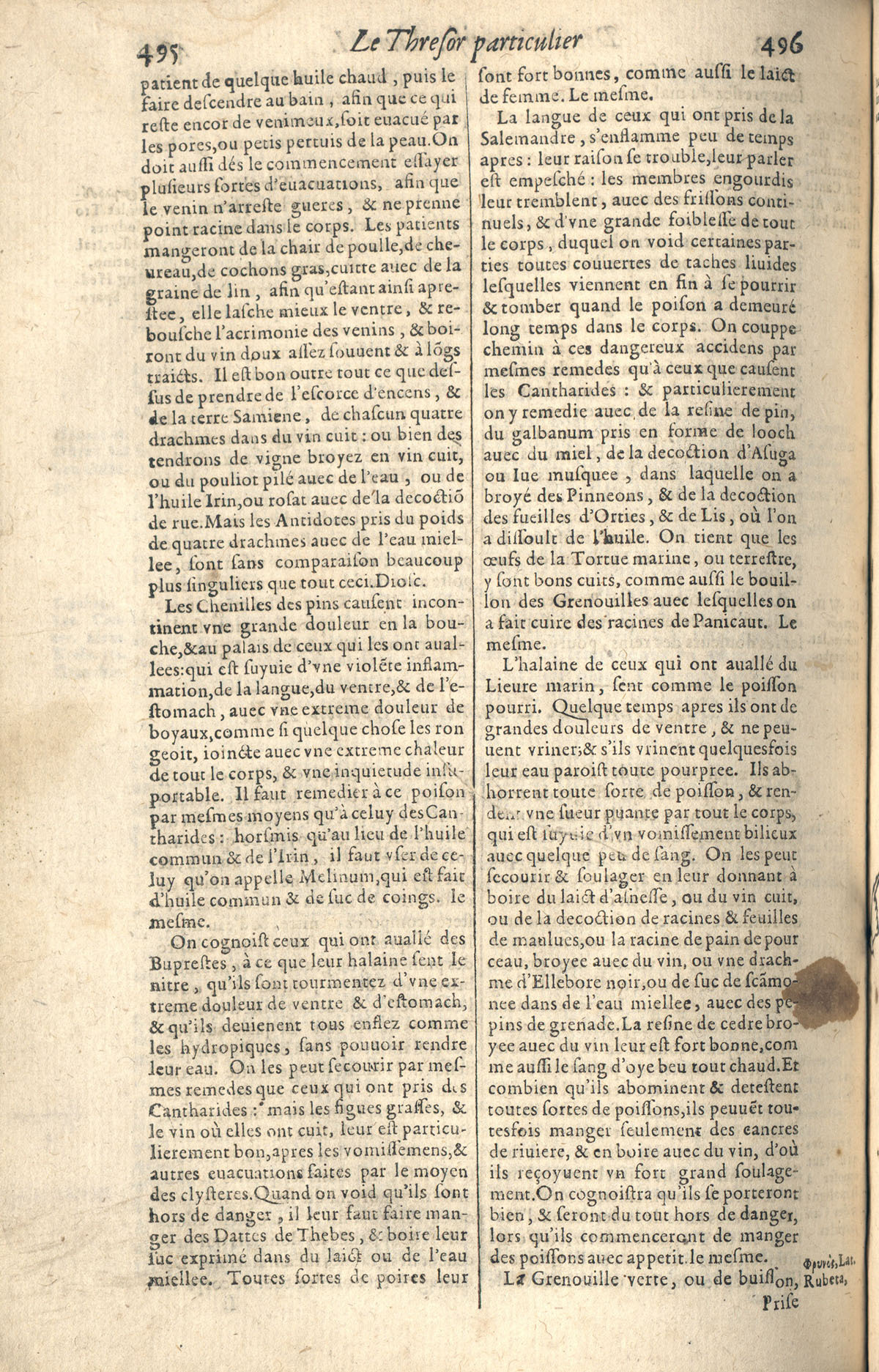 1610 - Étienne Gamonet - Grand Trésor ou dispensaire - CESR Tours