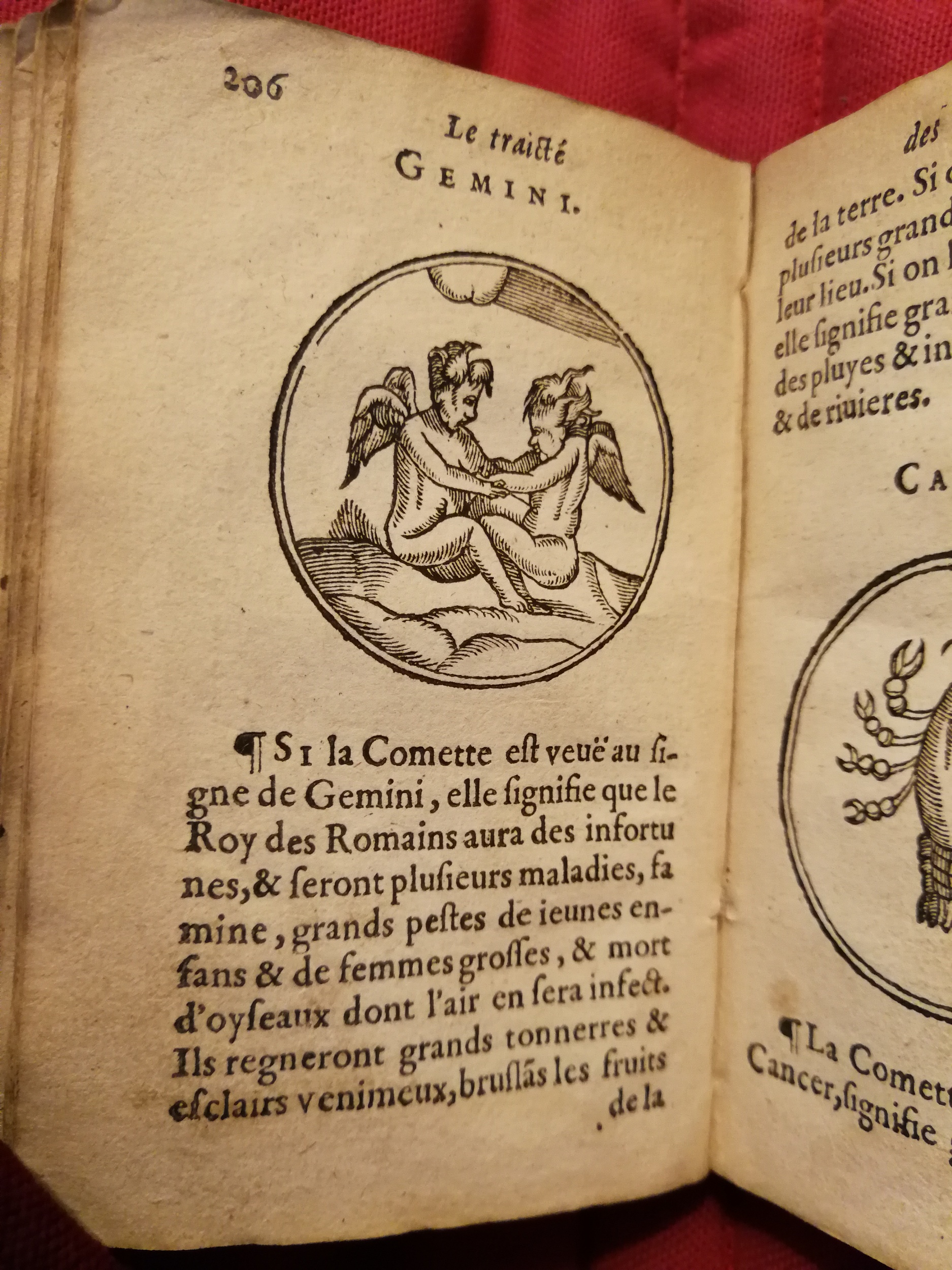 1586 - Benoît Rigaud - Trésor des fleurs et secrets de médecine - Sainte-Geneviève