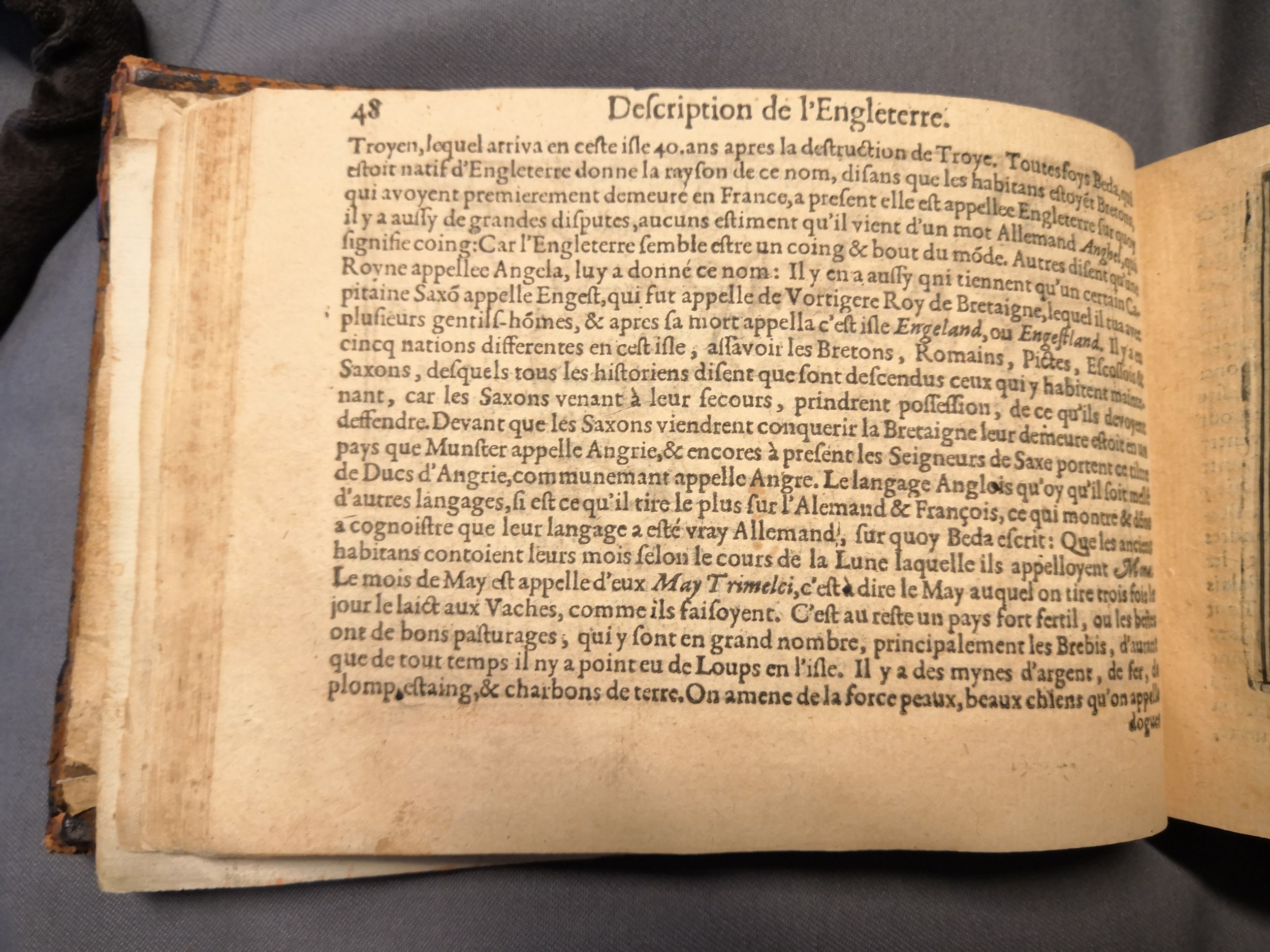 1600c. - Aelbrecht Hendricksz et Cornelis Claesz - Trésor des chartes - Amsterdam