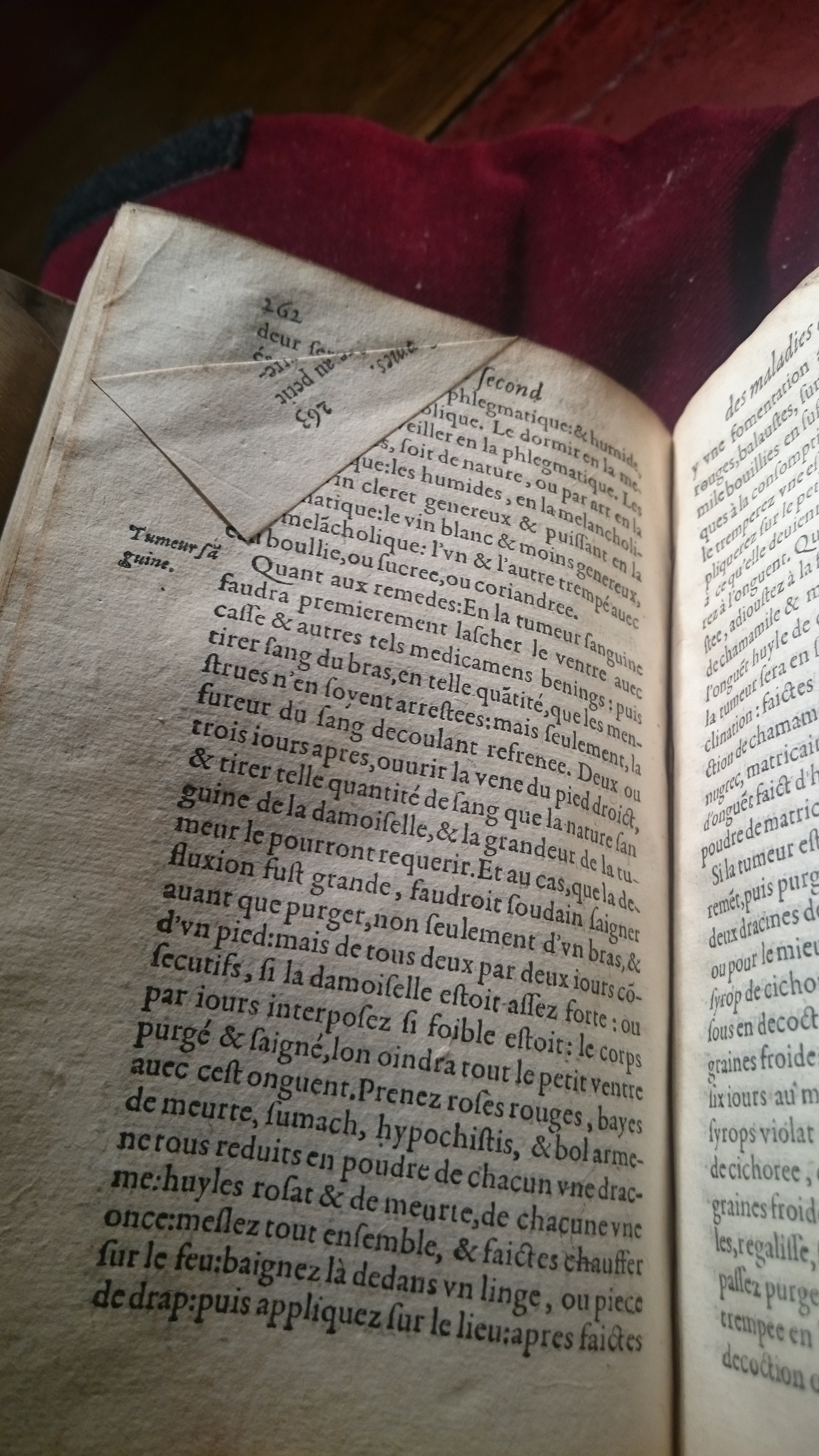 1587 - Jacques du Puis - Trésor des remèdes secrets pour les maladies des femmes - BM Amiens
