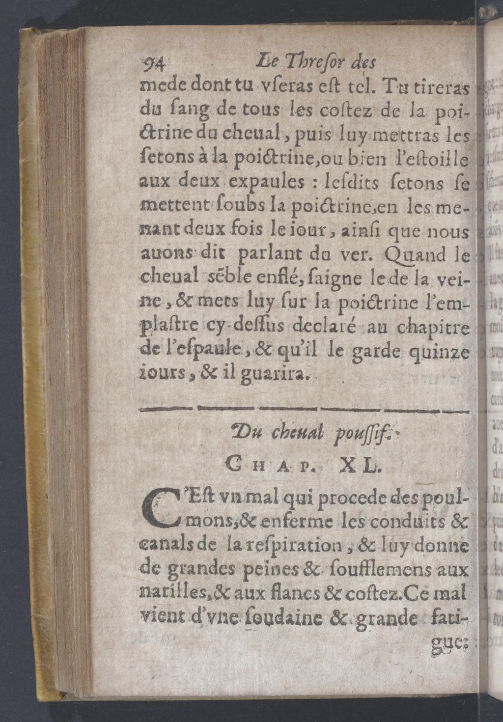 1619 - Pierre Rigaud - Trésor des bêtes chevalines - BnF