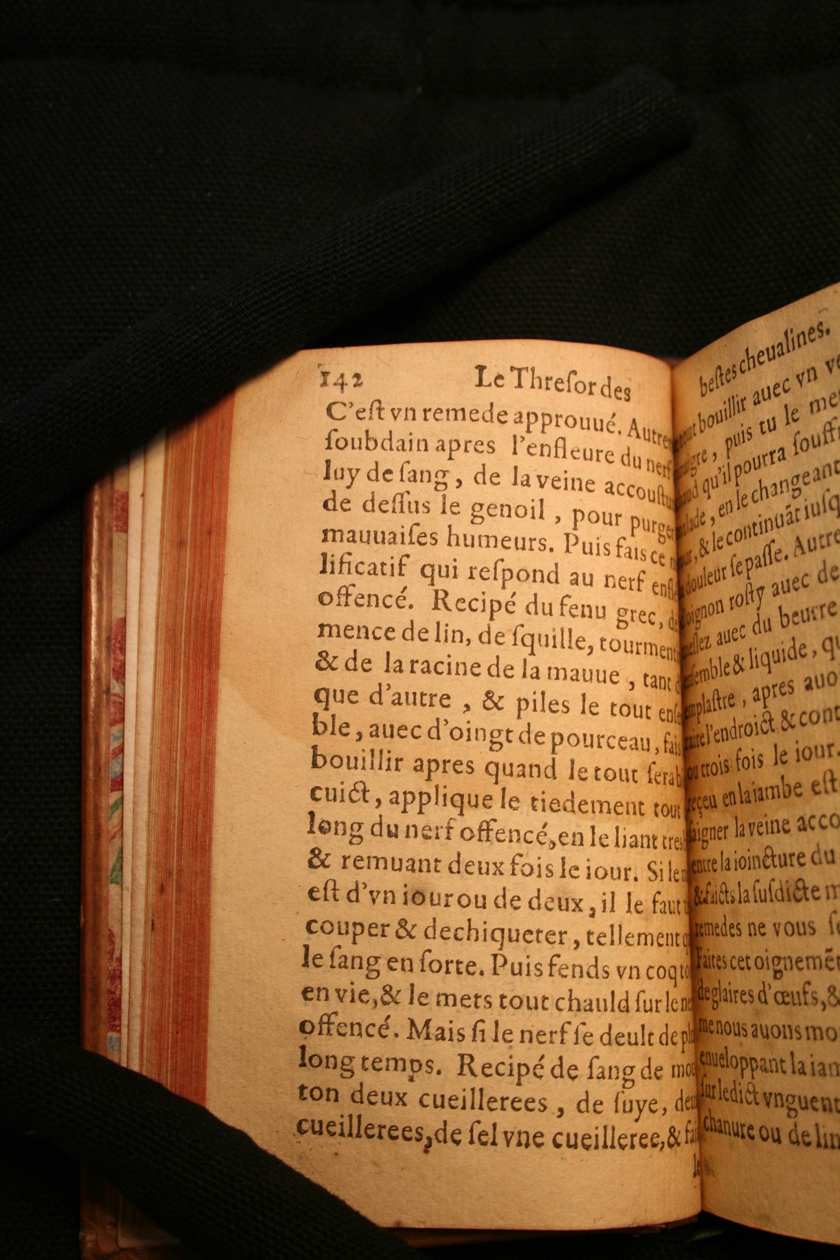 1591 - Pierre Chastaing et Benoît Rigaud - Trésor des bêtes chevalines - BM Bordeaux