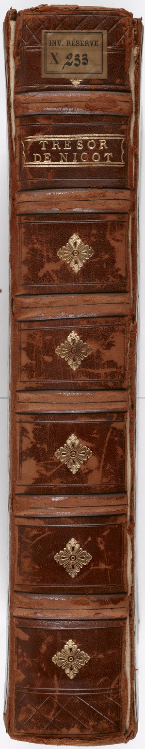 1606 - David Douceur - Trésor de la langue française - BnF
