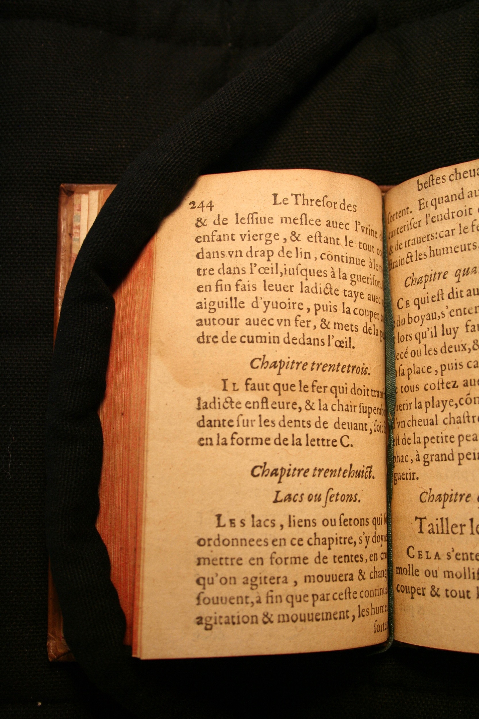 1591 - Pierre Chastaing et Benoît Rigaud - Trésor des bêtes chevalines - BM Bordeaux