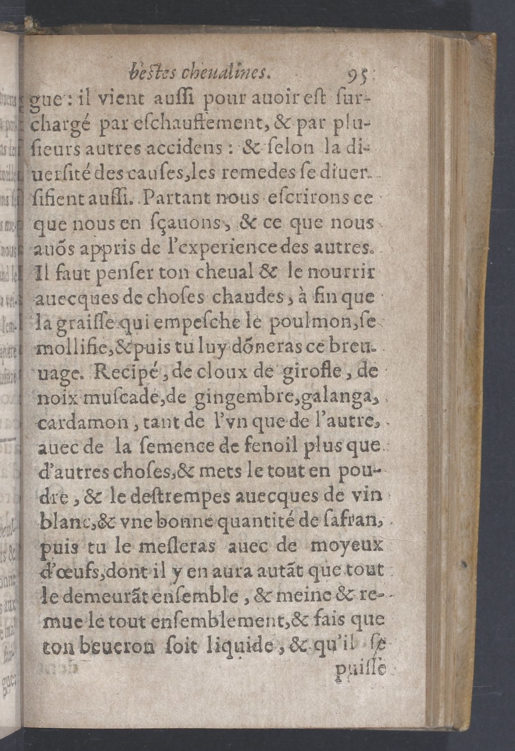 1619 - Pierre Rigaud - Trésor des bêtes chevalines - BnF 1619 - Pierre Rigaud - Trésor des bêtes chevalines - BnF