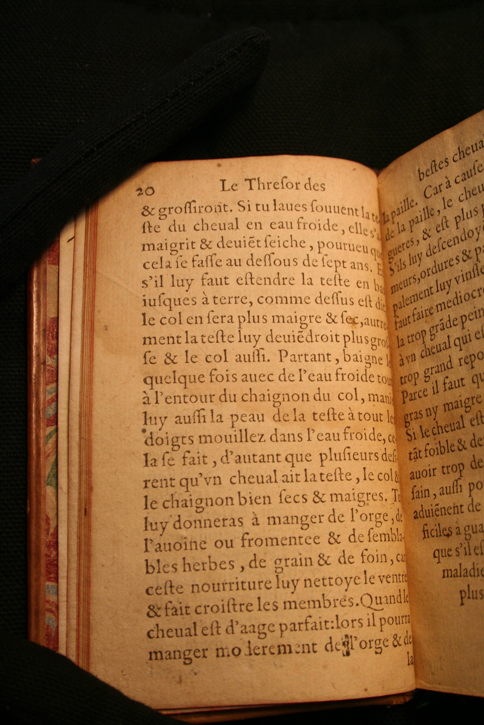 1591 - Pierre Chastaing et Benoît Rigaud - Trésor des bêtes chevalines - BM Bordeaux