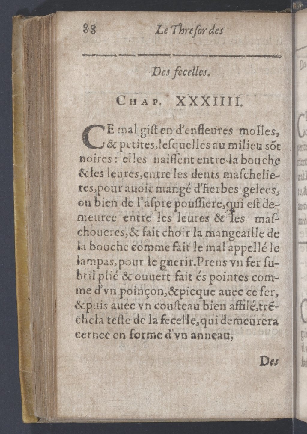 1619 - Pierre Rigaud - Trésor des bêtes chevalines - BnF
