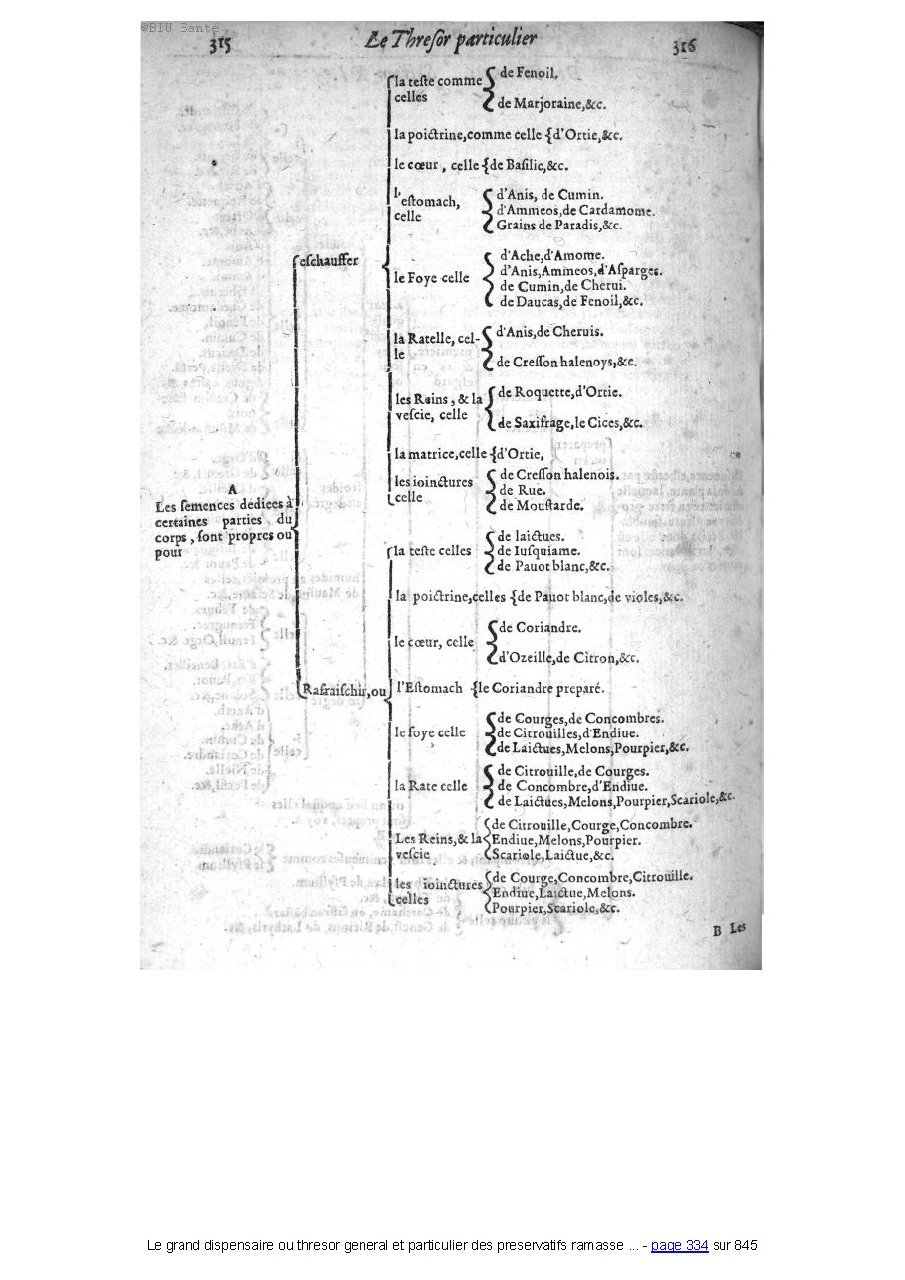 1609 - Étienne Gamonet - Grand dispensaire ou Trésor général et particulier des préservatifs - BIU Santé 1609 - Étienne Gamonet - Grand dispensaire ou Trésor général et particulier des préservatifs - BIU Santé