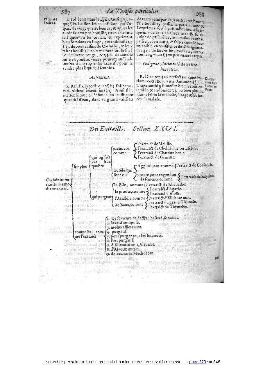 1609 - Étienne Gamonet - Grand dispensaire ou Trésor général et particulier des préservatifs - BIU Santé 1609 - Étienne Gamonet - Grand dispensaire ou Trésor général et particulier des préservatifs - BIU Santé