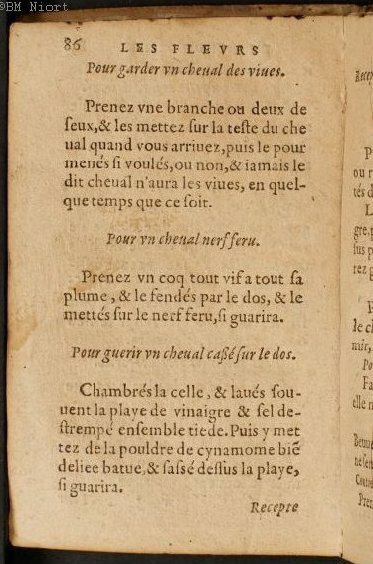 1586 - Benoît Rigaud - Trésor des fleurs et secrets de médecine - Université Paris Cité