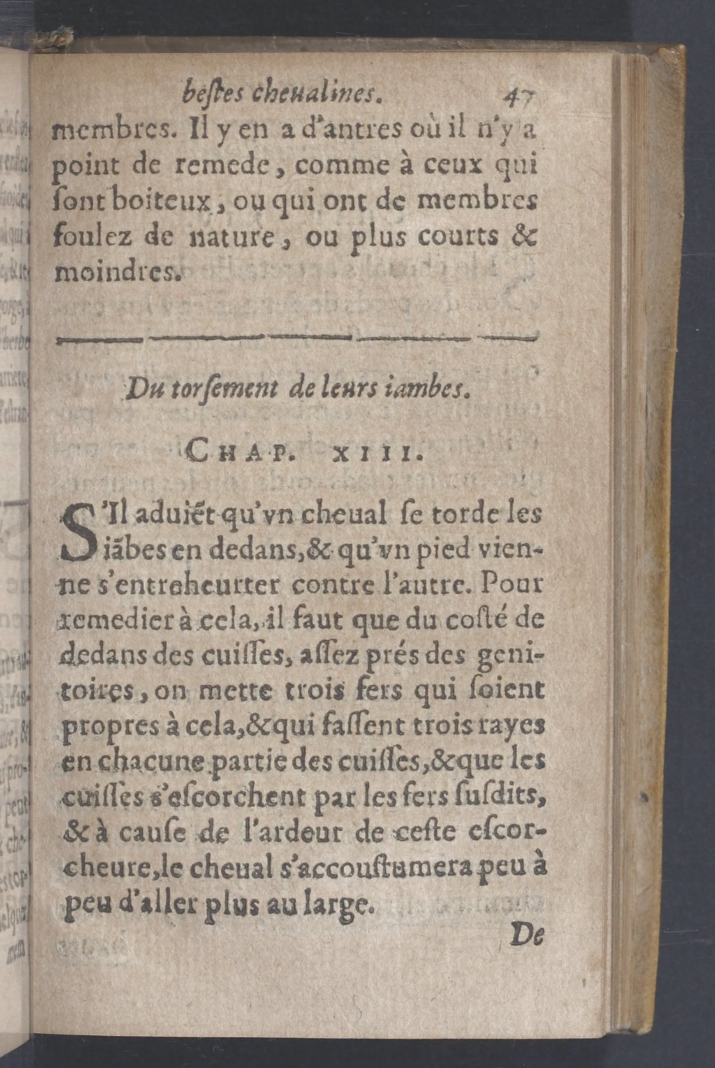 1619 - Pierre Rigaud - Trésor des bêtes chevalines - BnF 1619 - Pierre Rigaud - Trésor des bêtes chevalines - BnF
