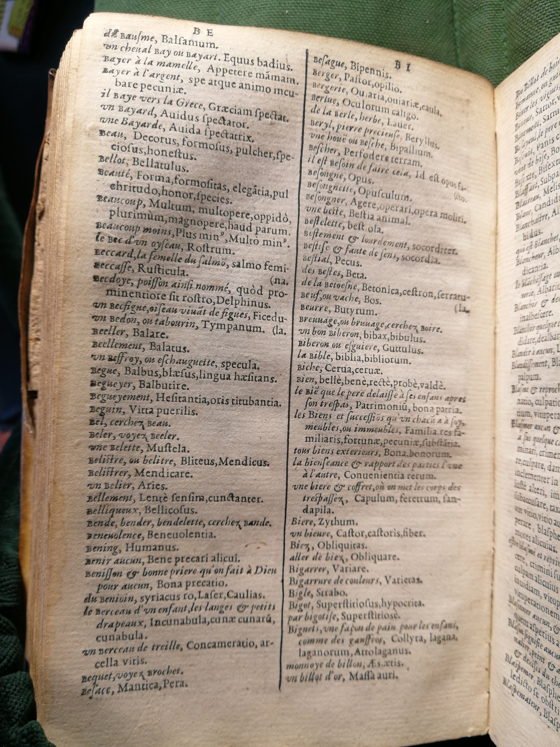 1597 - Martin le Mégissier - Trésor des mots et traits français - BnF