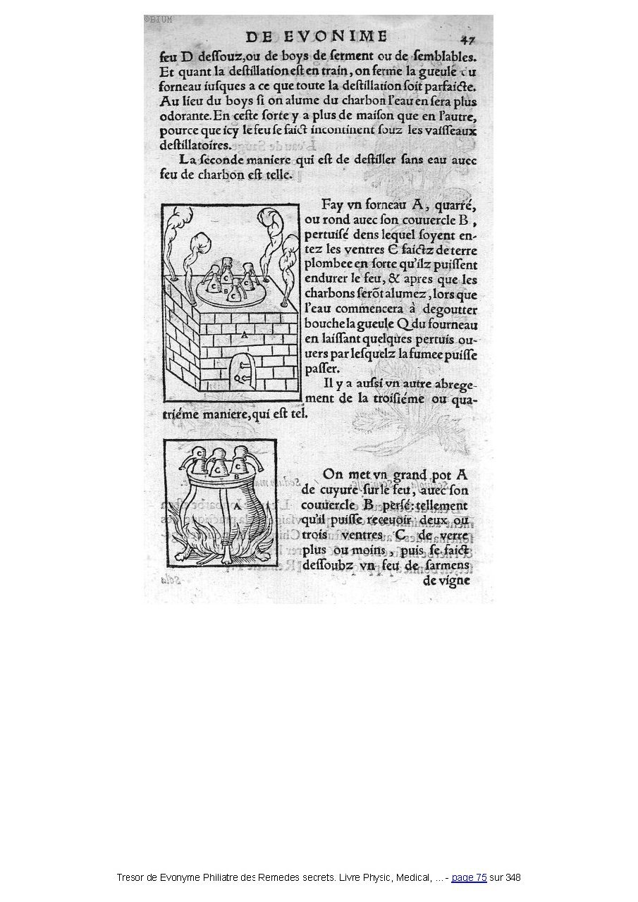 1555 - Balthazar Arnoullet - Trésor d’Évonyme Philiatre - Université Paris Cité