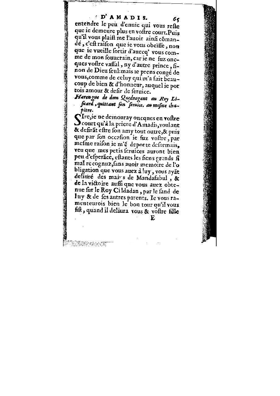 1572 - Veuve Gabriel Cotier - Trésor des Amadis - BM Lyon