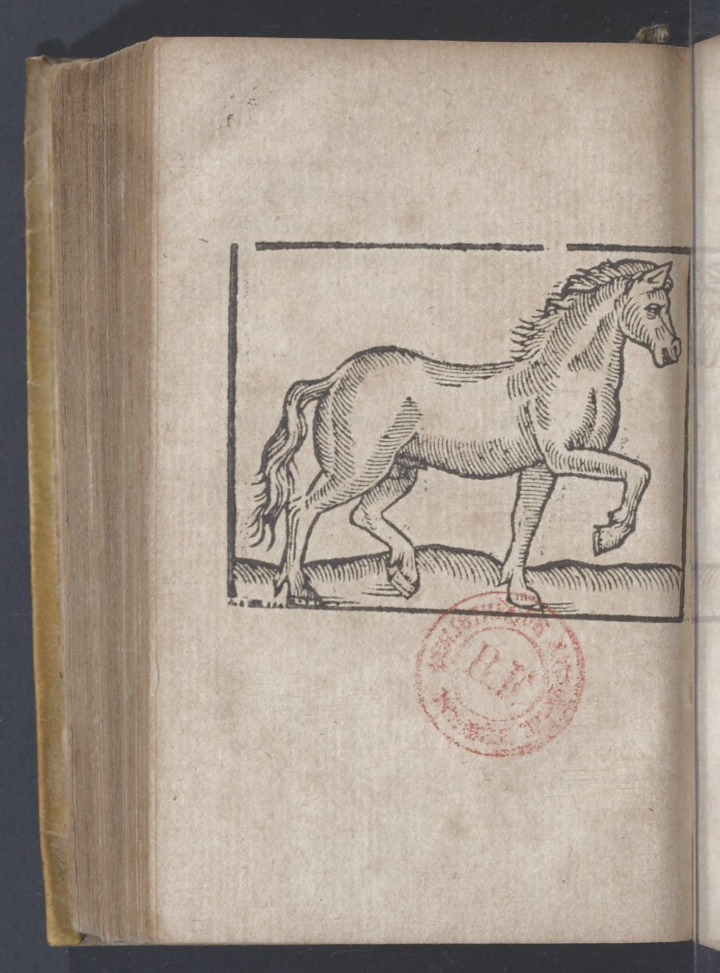 1619 - Pierre Rigaud - Trésor des bêtes chevalines - BnF