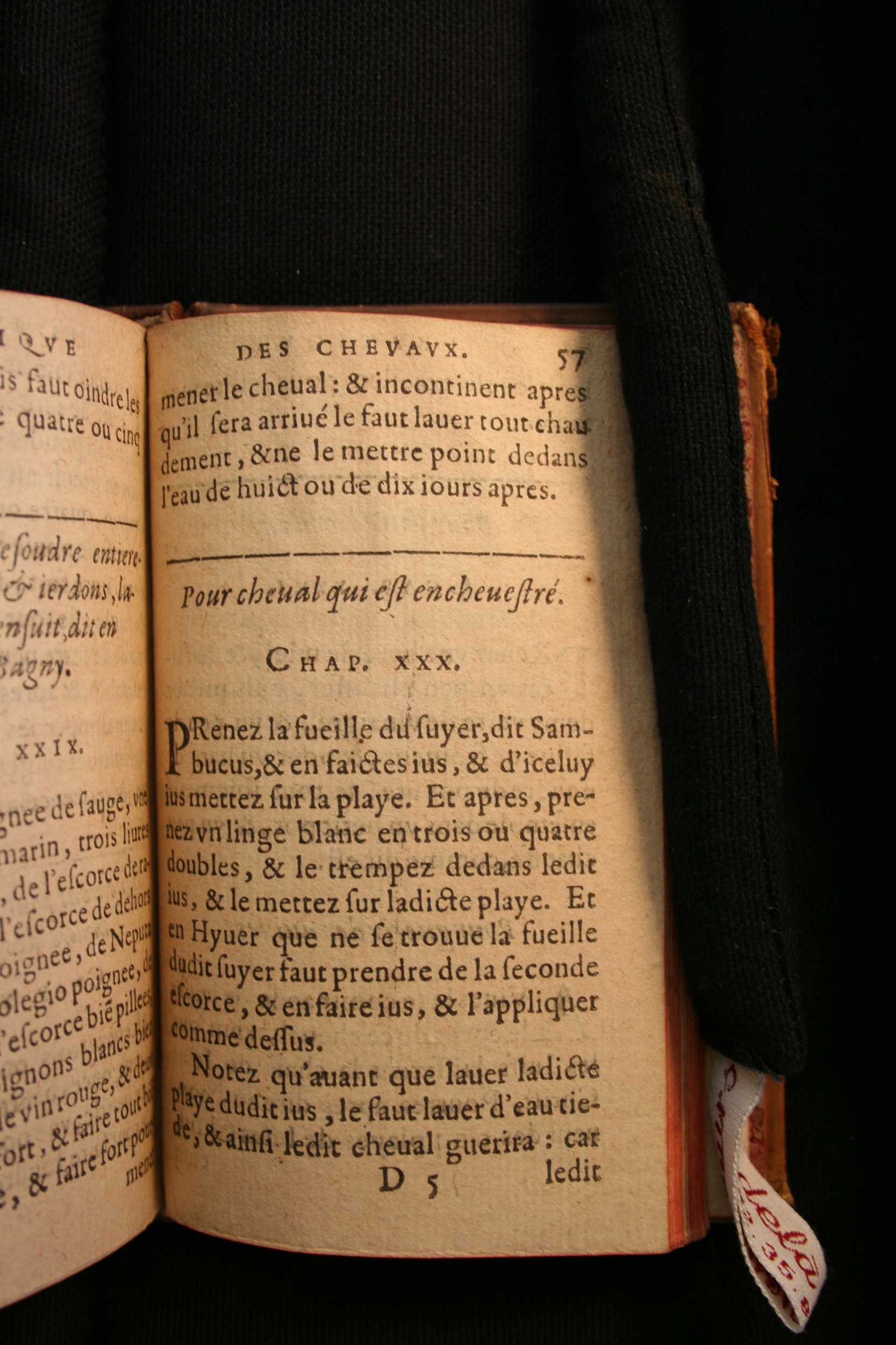 1591 - Pierre Chastaing et Benoît Rigaud - Trésor des bêtes chevalines - BM Bordeaux