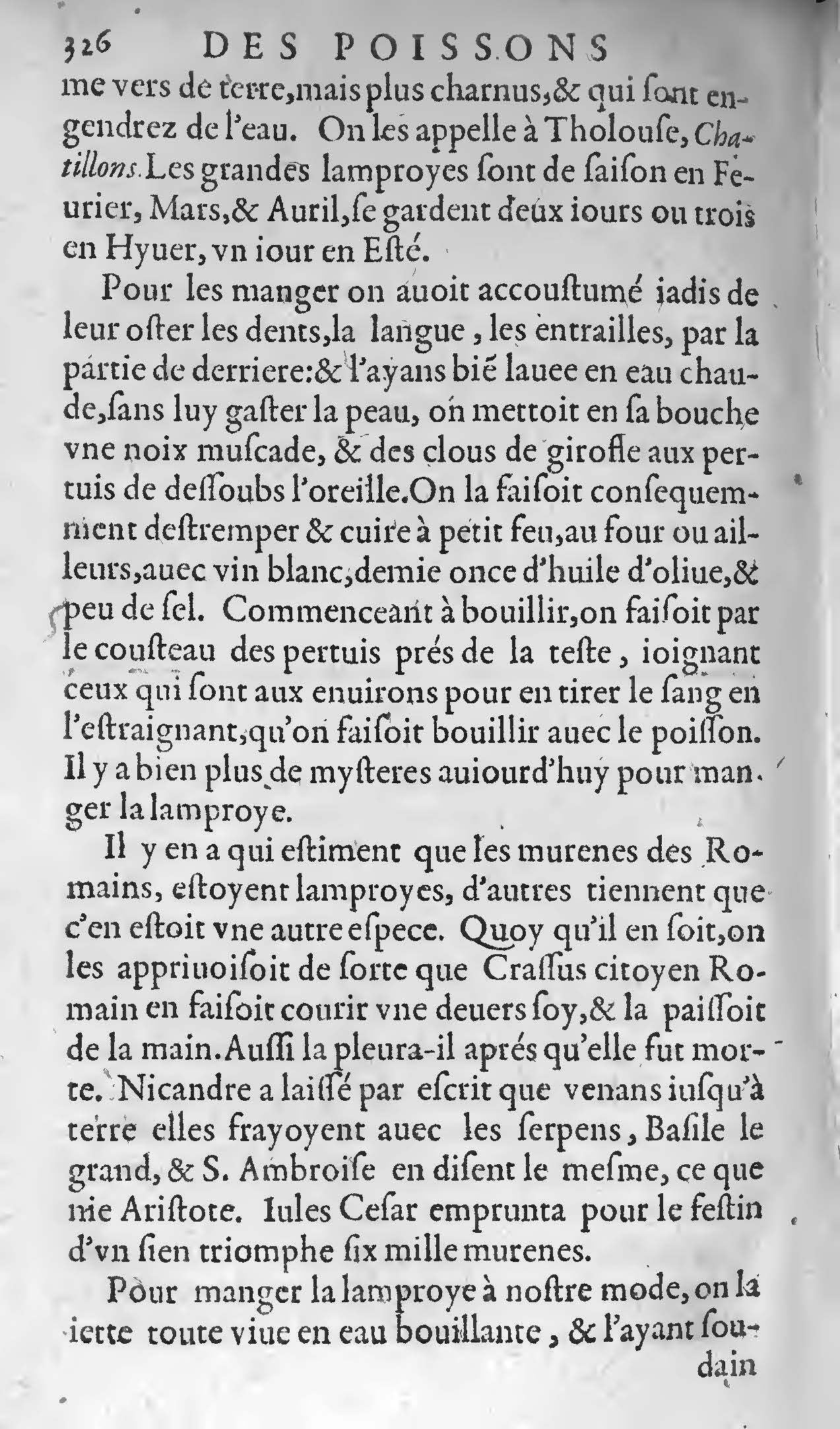 1607 Étienne Servain et Jean Antoine Huguetan - Trésor de santé ou ménage de la vie humaine - BIU Santé_Page_346.jpg