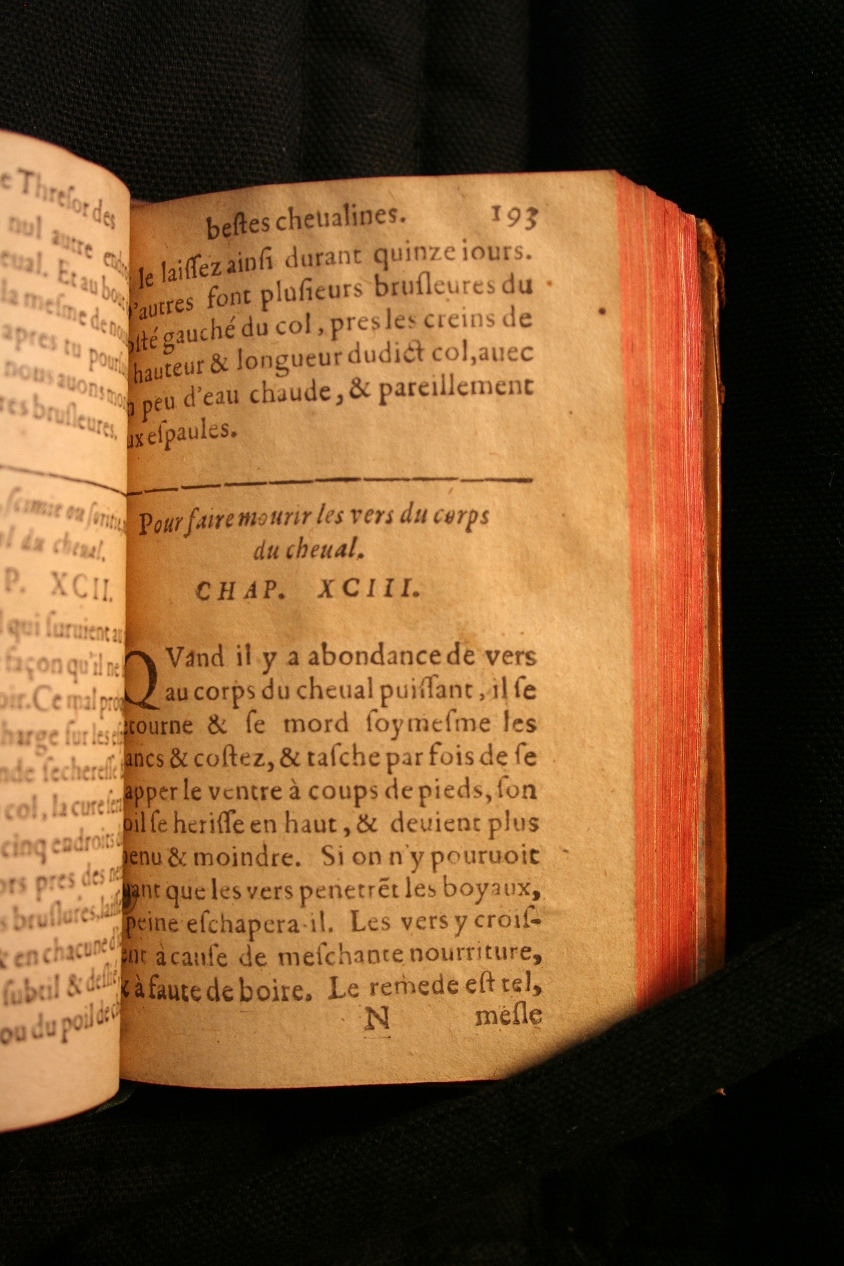 1591 - Pierre Chastaing et Benoît Rigaud - Trésor des bêtes chevalines - BM Bordeaux
