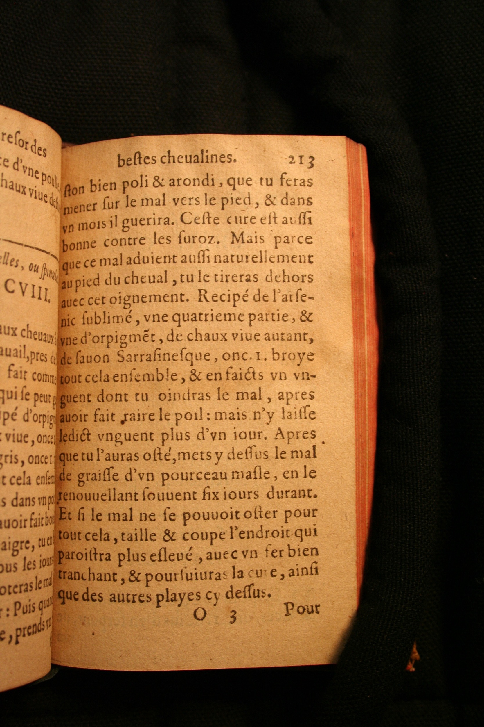 1591 - Pierre Chastaing et Benoît Rigaud - Trésor des bêtes chevalines - BM Bordeaux