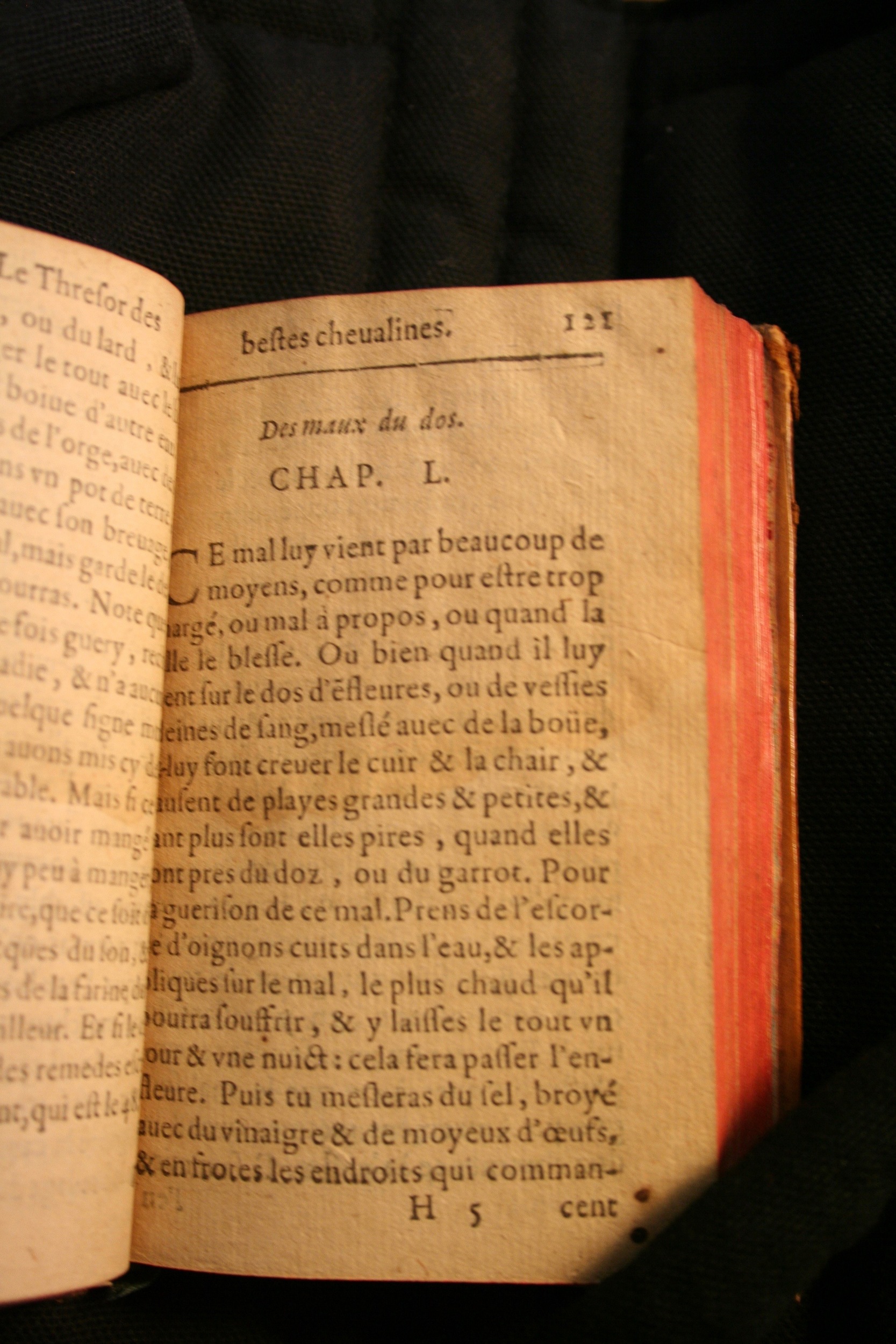 1591 - Pierre Chastaing et Benoît Rigaud - Trésor des bêtes chevalines - BM Bordeaux