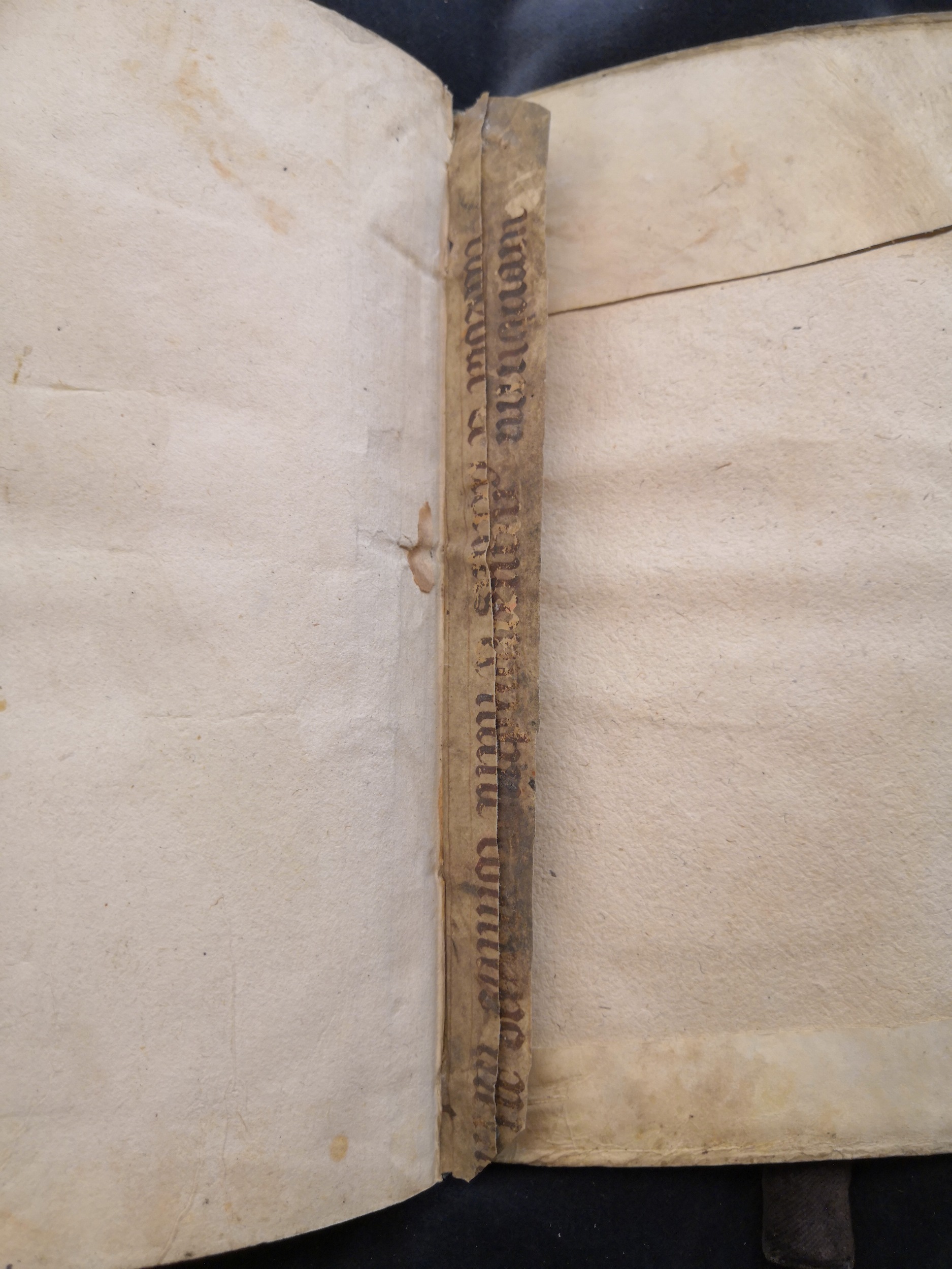 1581c. - Christophe Plantin - Le Livre des témoignages du Trésor caché au champ (Livres 2, 4, 6 et 7) - Anvers Musée Plantin Moretus
