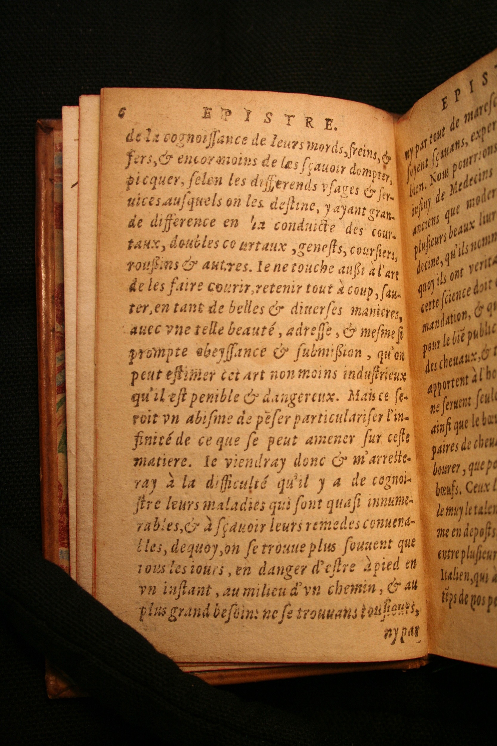 1591 - Pierre Chastaing et Benoît Rigaud - Trésor des bêtes chevalines - BM Bordeaux