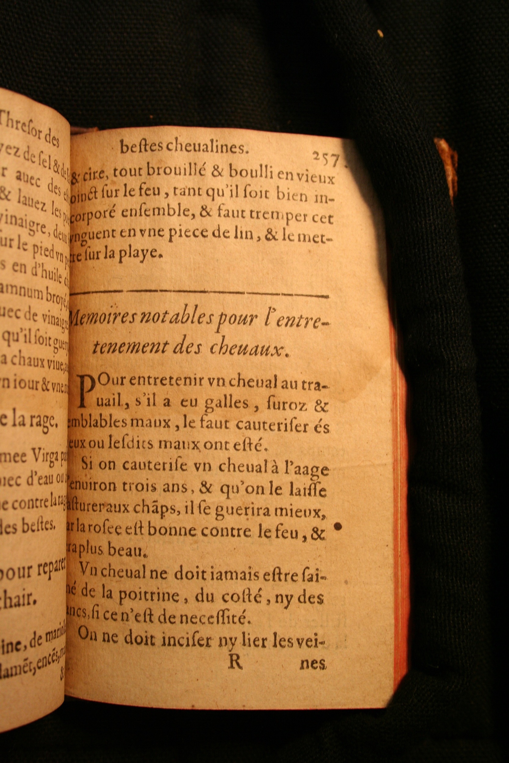 1591 - Pierre Chastaing et Benoît Rigaud - Trésor des bêtes chevalines - BM Bordeaux