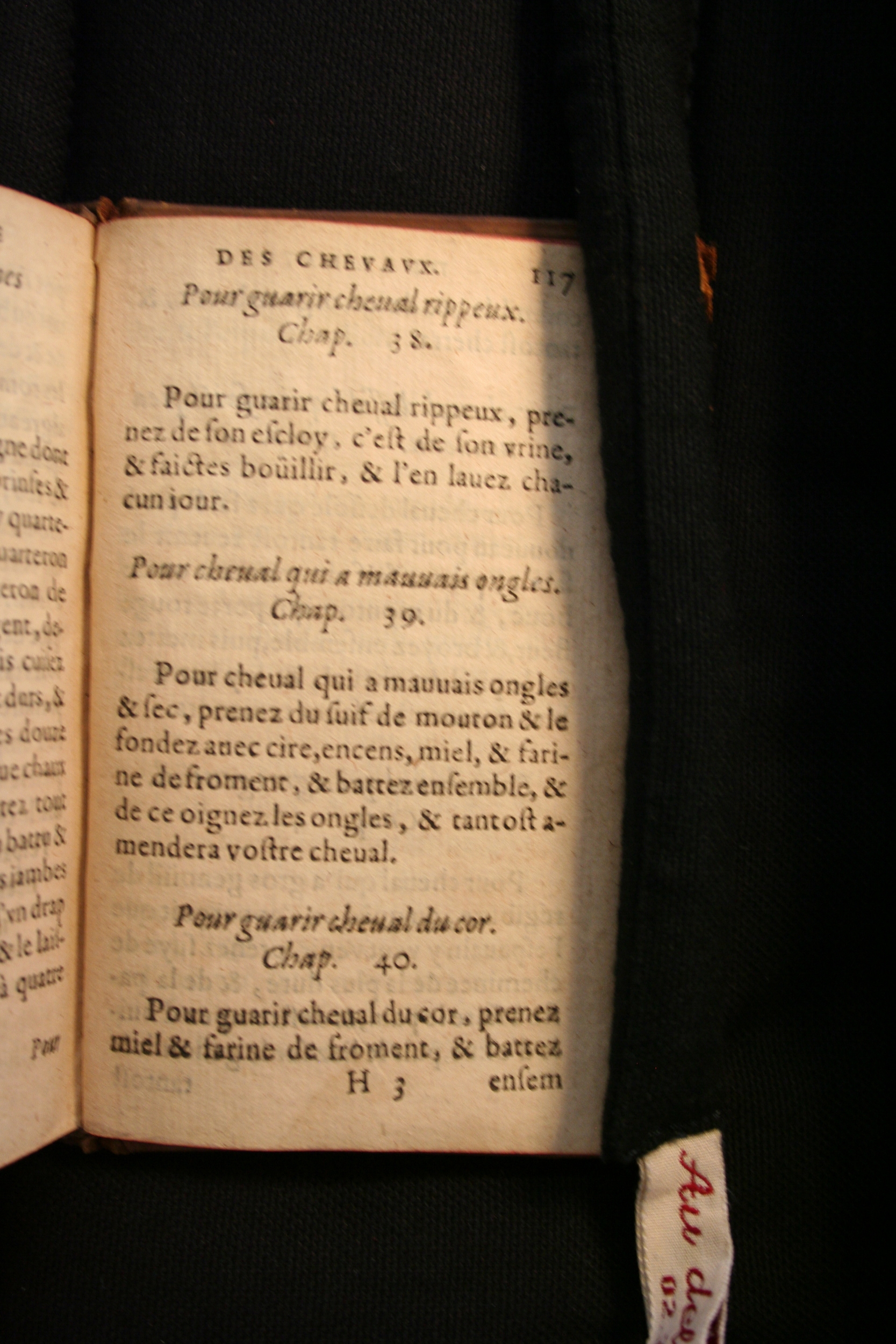 1591 - Pierre Chastaing et Benoît Rigaud - Trésor des bêtes chevalines - BM Bordeaux
