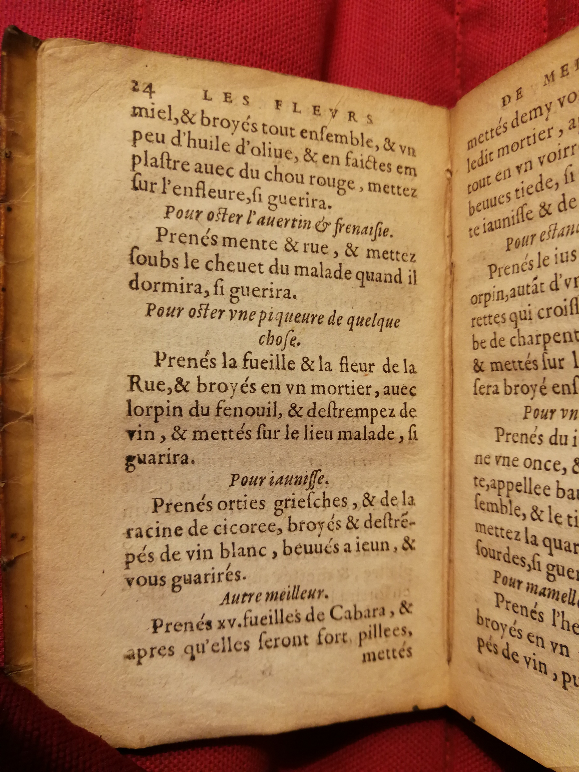 1586 - Benoît Rigaud - Trésor des fleurs et secrets de médecine - Sainte-Geneviève