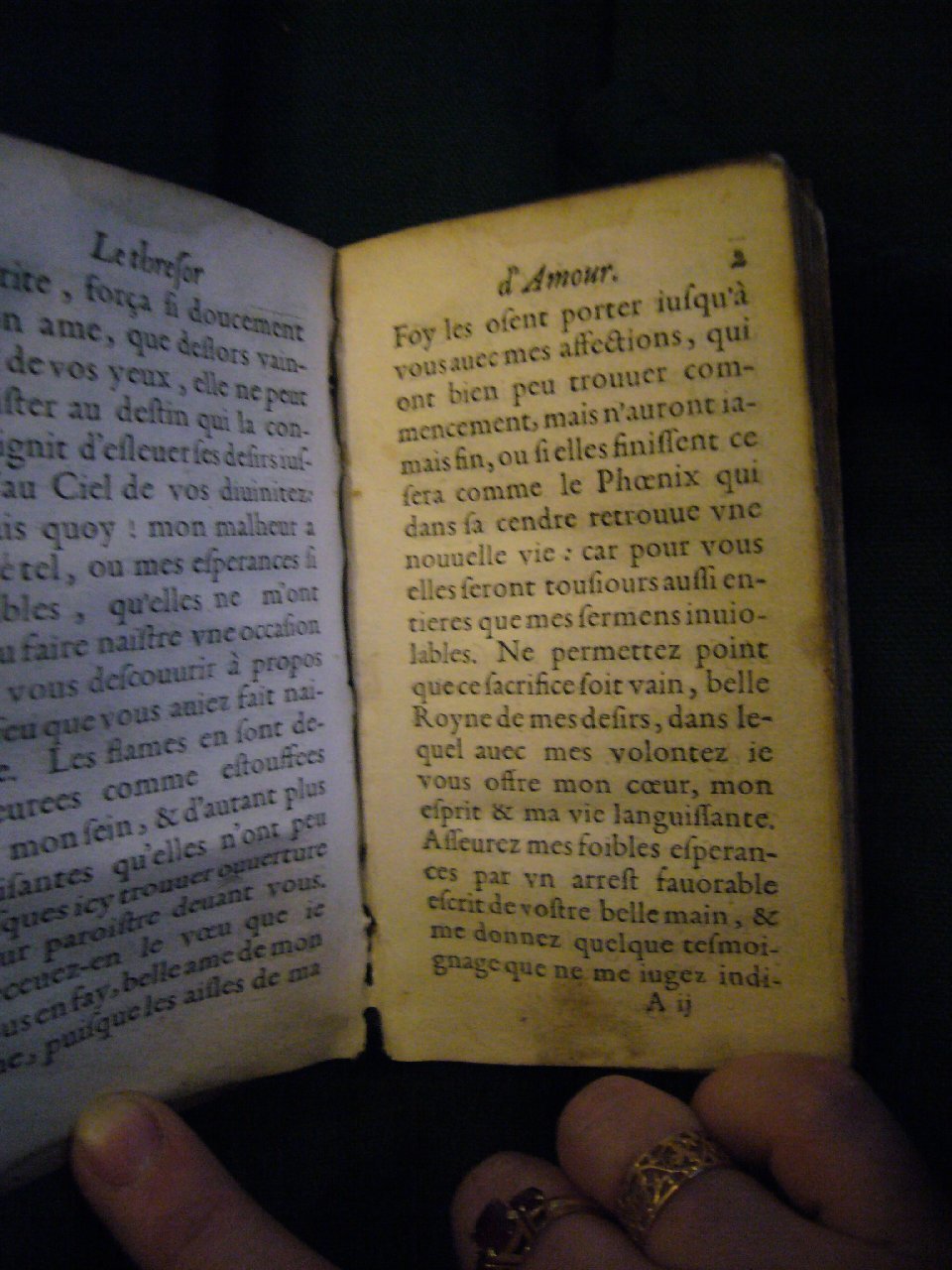 1597 - Matthieu Guillemot - Trésor d’amour - BnF Arsenal