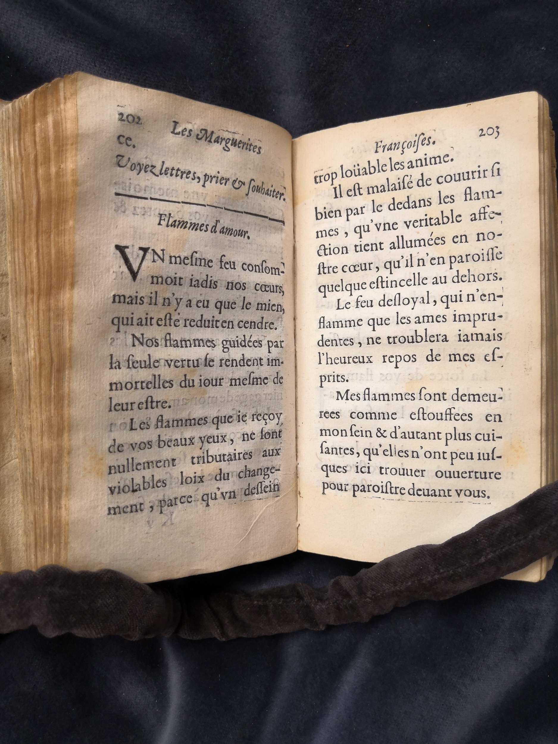 1609 - Théodore Reinsart - Trésor des fleurs du bien dire - Anvers Musée Plantin-Moretus