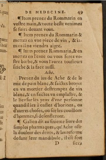 1586 - Benoît Rigaud - Trésor des fleurs et secrets de médecine - Université Paris Cité 1586 - Benoît Rigaud - Trésor des fleurs et secrets de médecine - Université Paris Cité