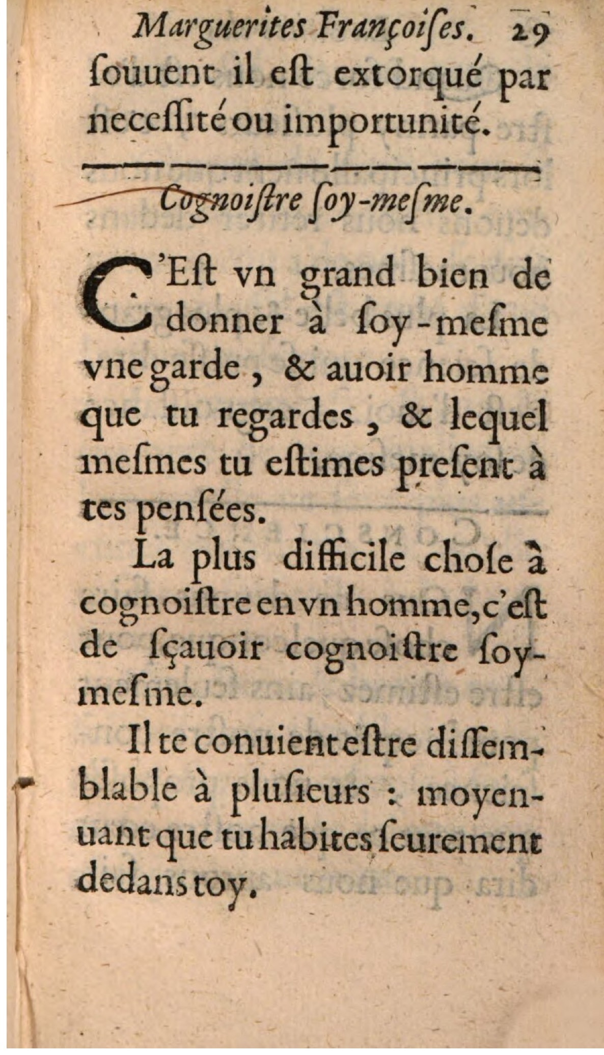 1611 - Théodore Reinsart - La Suitte des marguerites françoises, ou second thresor du bien dire - BSB Munich
