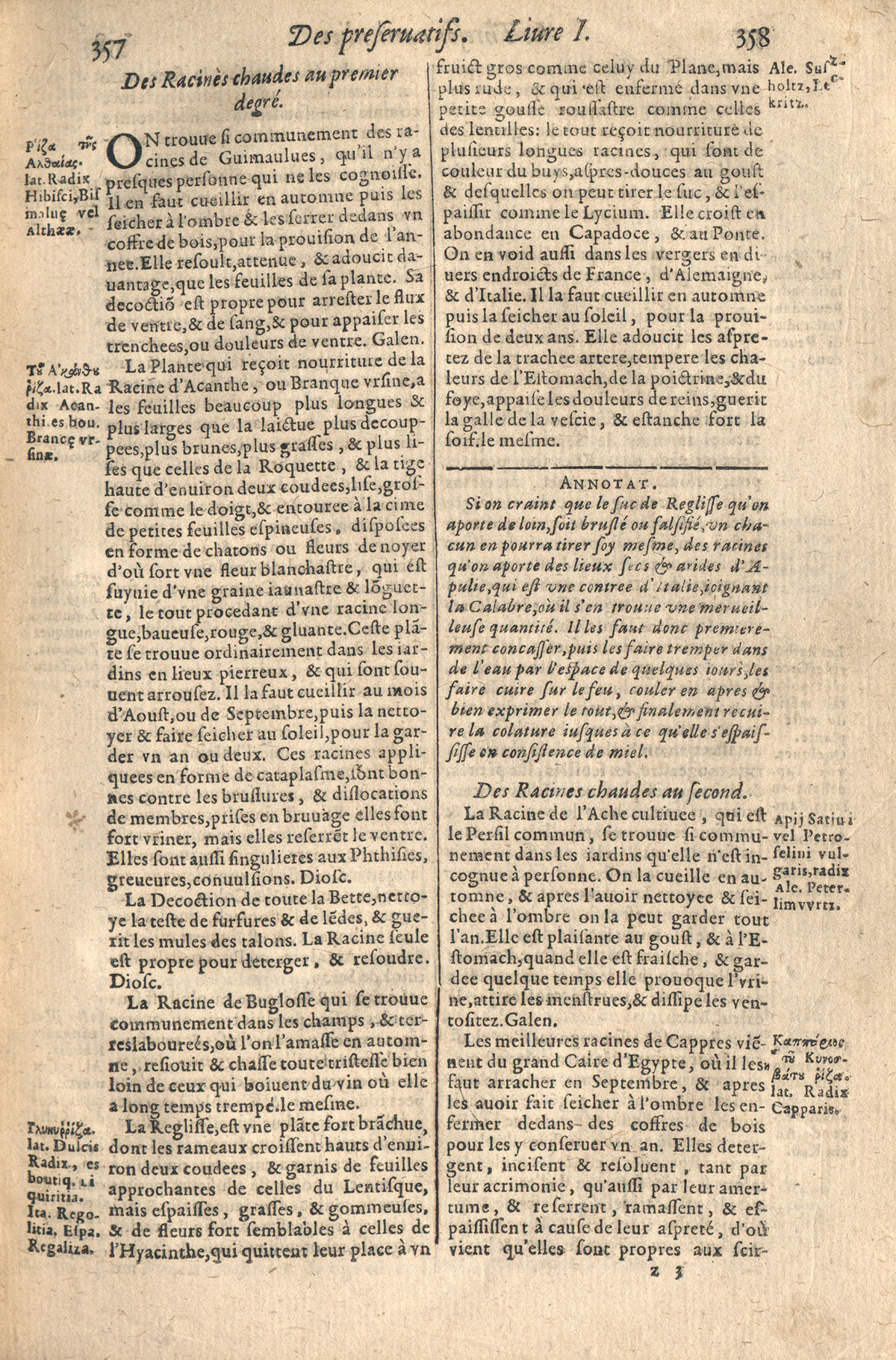 1610 - Étienne Gamonet - Grand Trésor ou dispensaire - CESR Tours