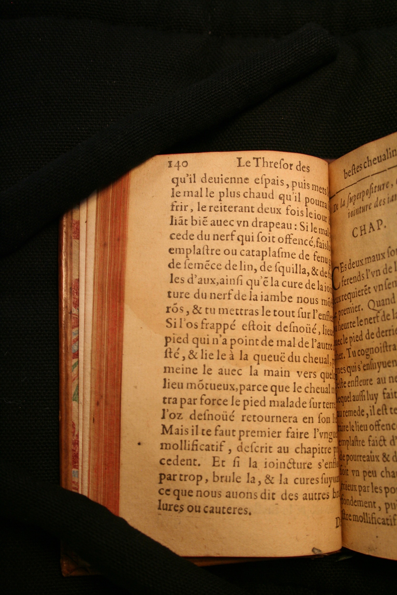 1591 - Pierre Chastaing et Benoît Rigaud - Trésor des bêtes chevalines - BM Bordeaux