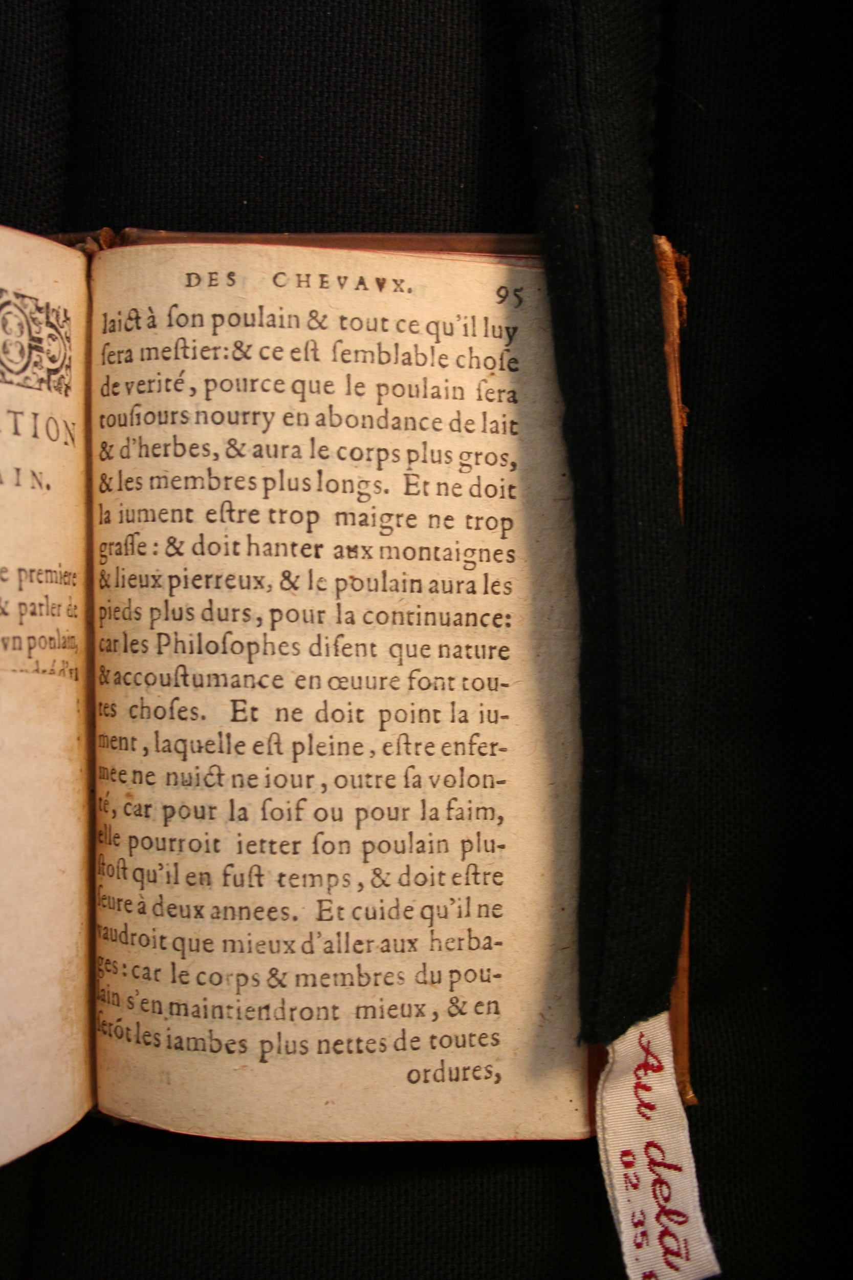 1591 - Pierre Chastaing et Benoît Rigaud - Trésor des bêtes chevalines - BM Bordeaux