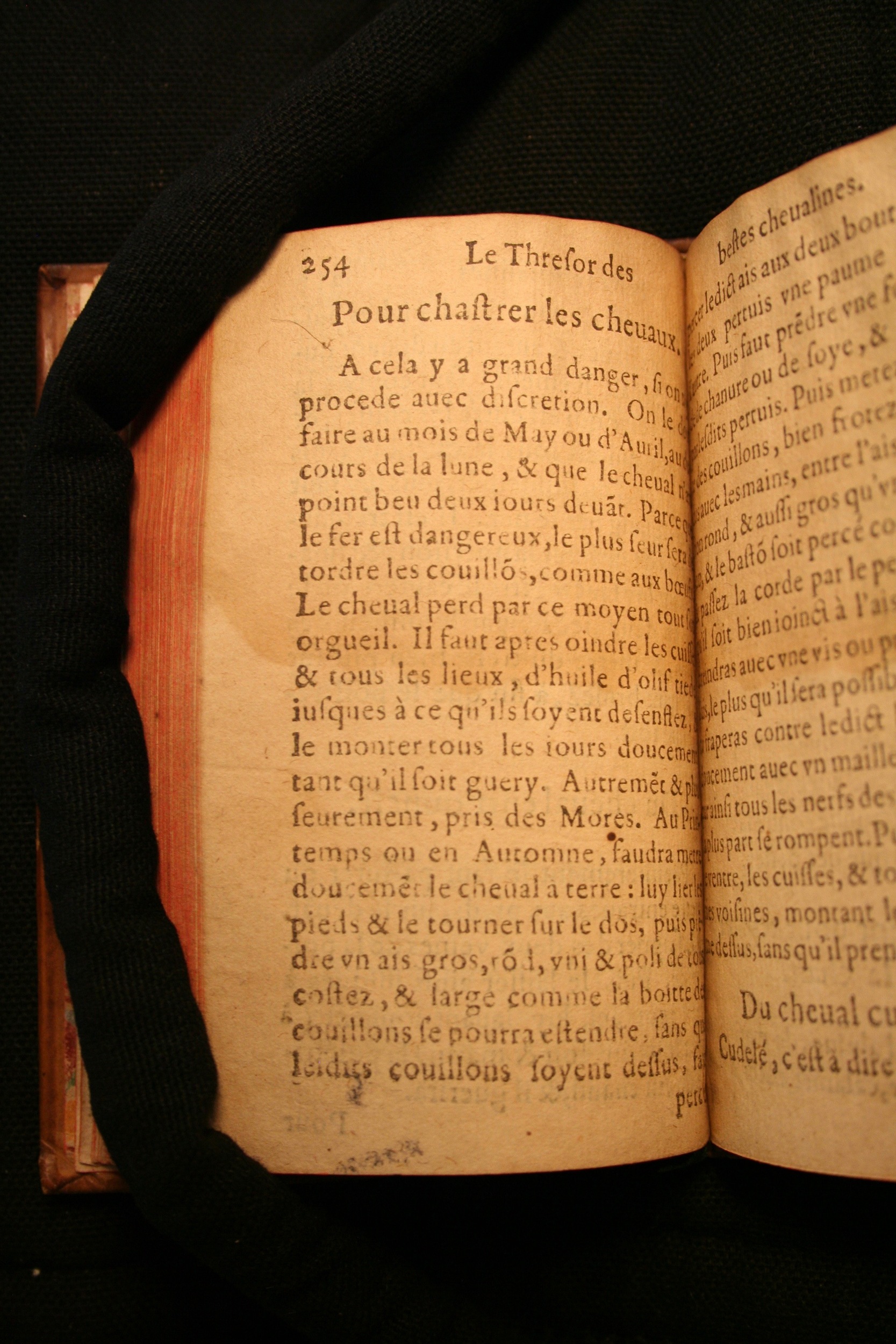 1591 - Pierre Chastaing et Benoît Rigaud - Trésor des bêtes chevalines - BM Bordeaux