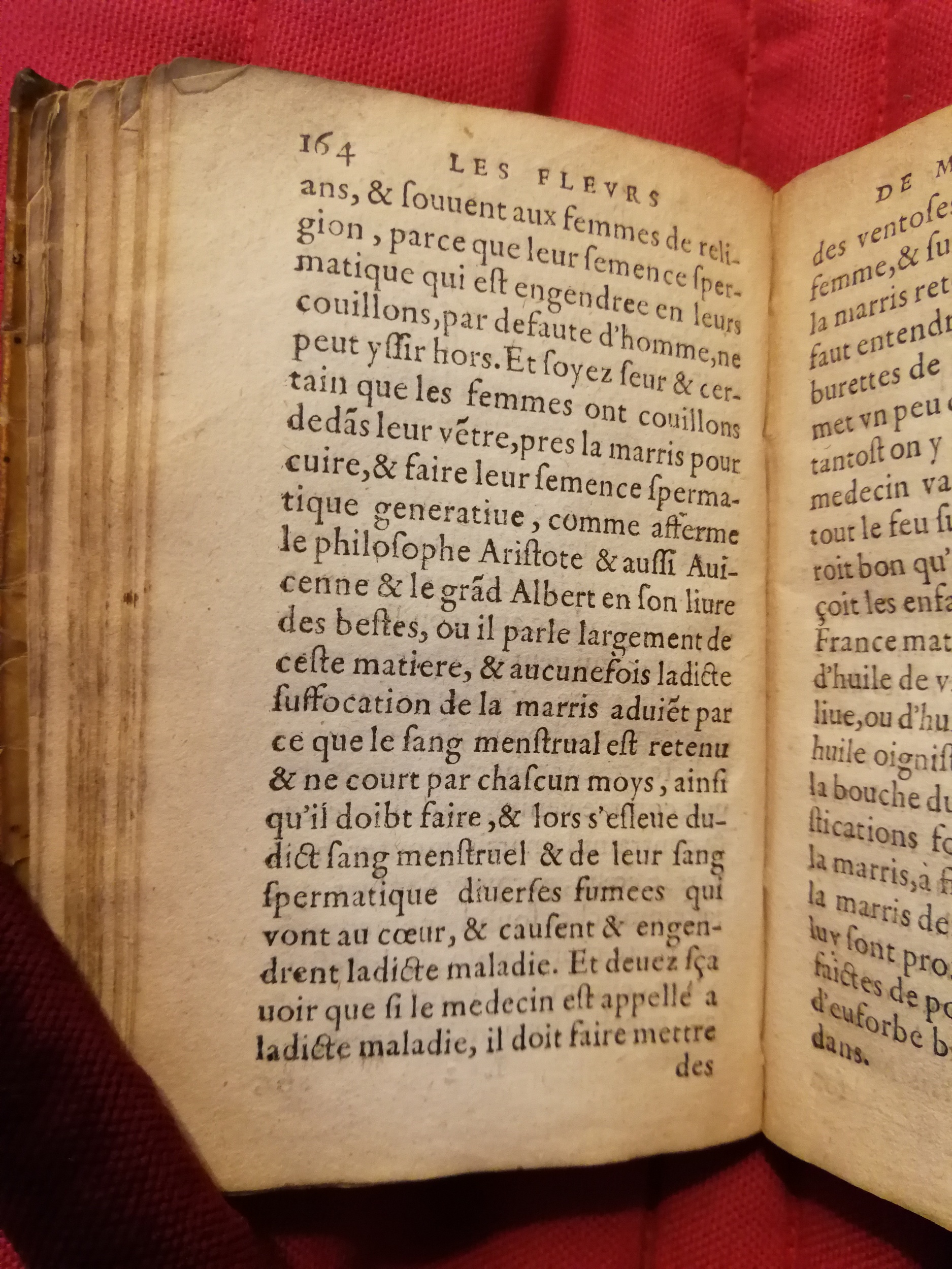 1586 - Benoît Rigaud - Trésor des fleurs et secrets de médecine - Sainte-Geneviève