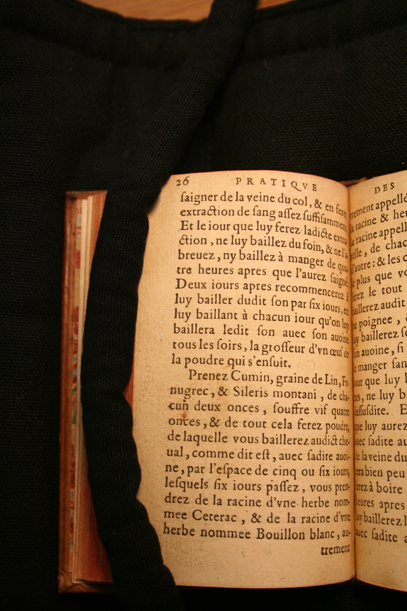 1591 - Pierre Chastaing et Benoît Rigaud - Trésor des bêtes chevalines - BM Bordeaux