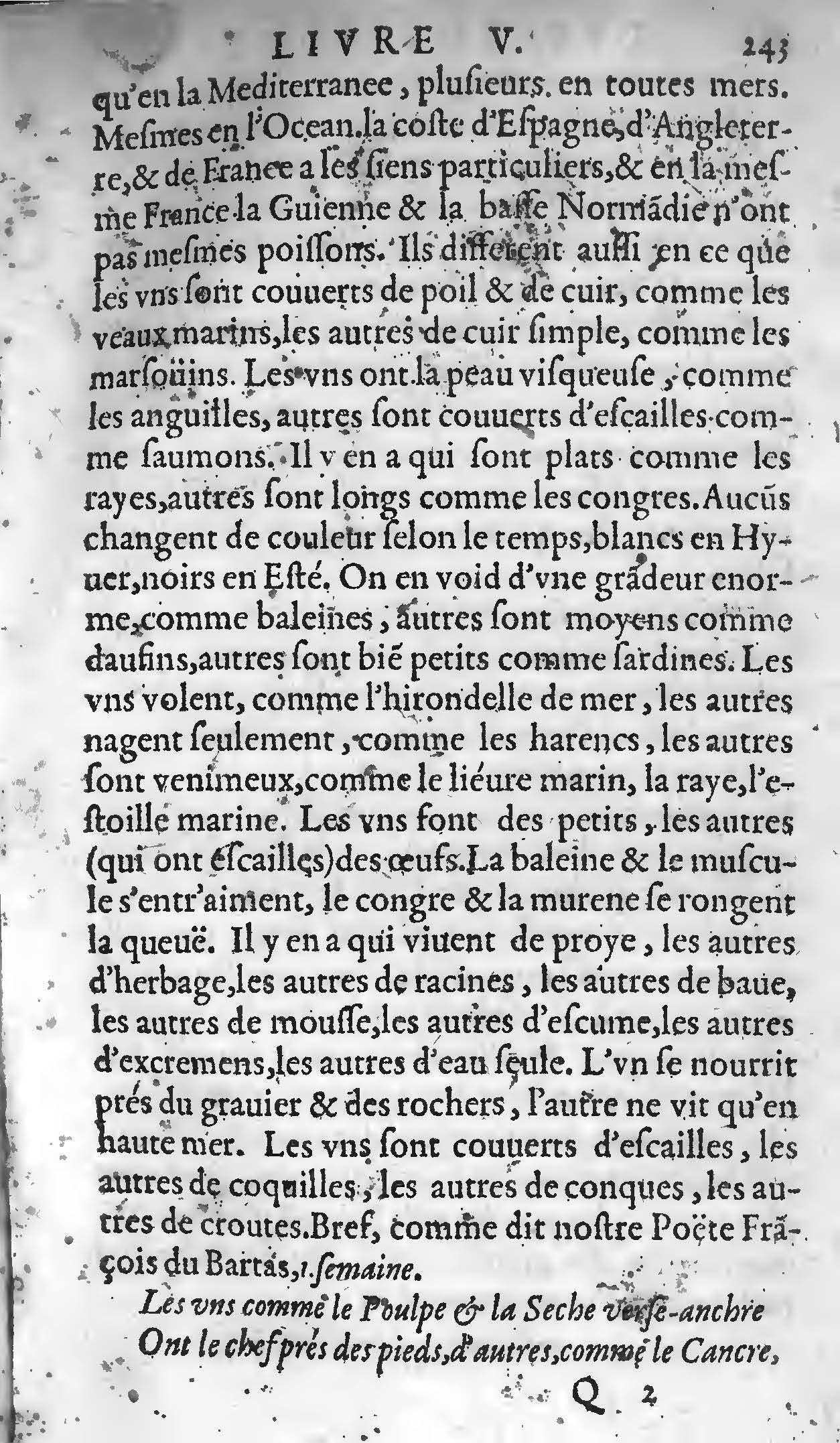 1607 - Étienne Servain et Jean Antoine Huguetan - Trésor de santé ou ménage de la vie humaine - BIU Santé