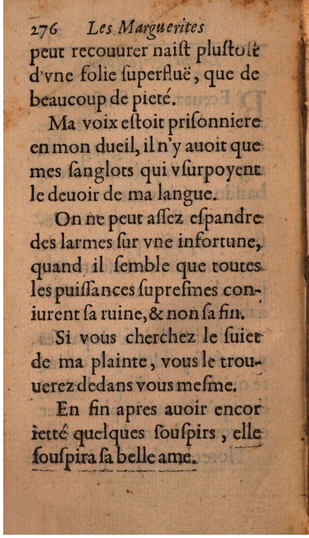 1608 - Théodore Reinsart - Les Marguerites françaises ou Trésor des Fleurs du bien-dire - BSB Munich