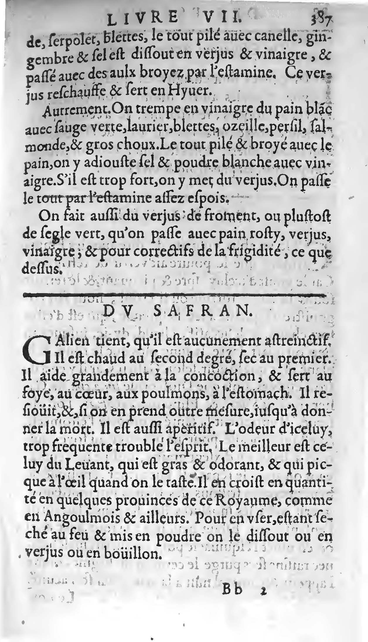 1607 Étienne Servain et Jean Antoine Huguetan - Trésor de santé ou ménage de la vie humaine - BIU Santé_Page_407.jpg
