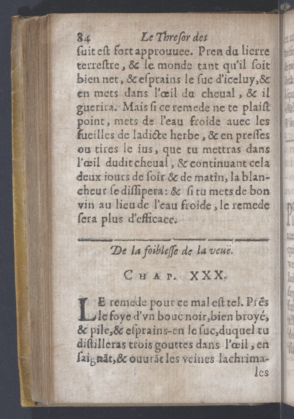 1619 - Pierre Rigaud - Trésor des bêtes chevalines - BnF 1619 - Pierre Rigaud - Trésor des bêtes chevalines - BnF