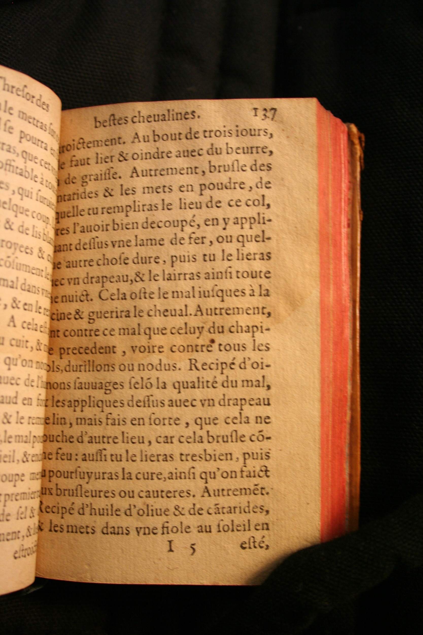 1591 - Pierre Chastaing et Benoît Rigaud - Trésor des bêtes chevalines - BM Bordeaux