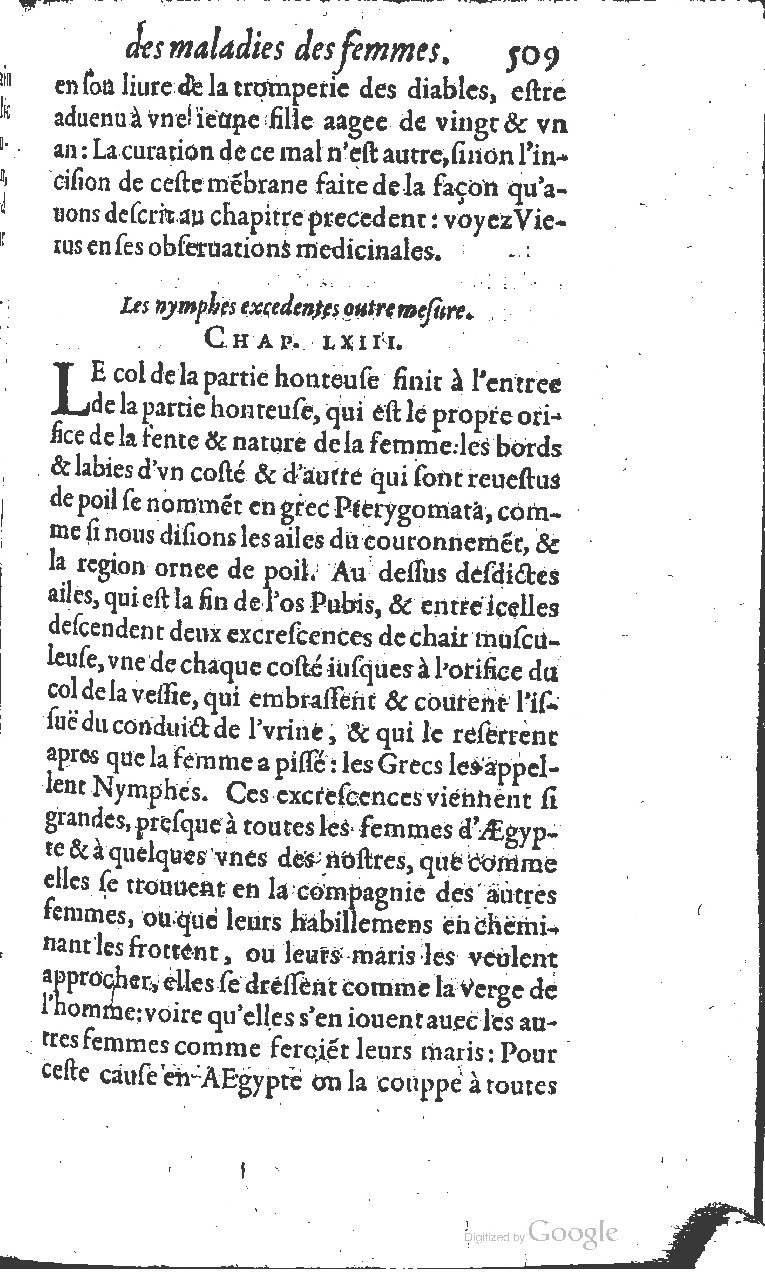 1617 - Jean Le Bouc - Trésor des remèdes secrets - BM Lyon