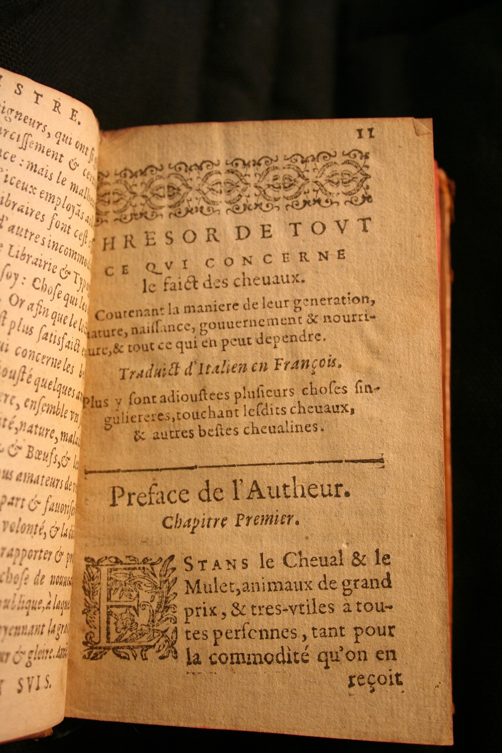 1591 - Pierre Chastaing et Benoît Rigaud - Trésor des bêtes chevalines - BM Bordeaux
