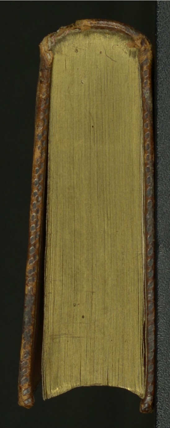 1564 - Vincent Norment et Jeanne Bruneau - Trésor des Amadis - BnF