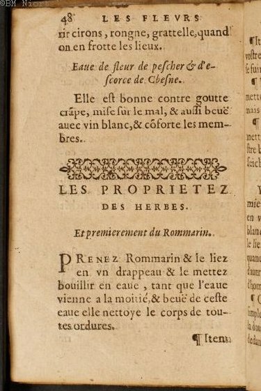 1586 - Benoît Rigaud - Trésor des fleurs et secrets de médecine - Université Paris Cité 1586 - Benoît Rigaud - Trésor des fleurs et secrets de médecine - Université Paris Cité