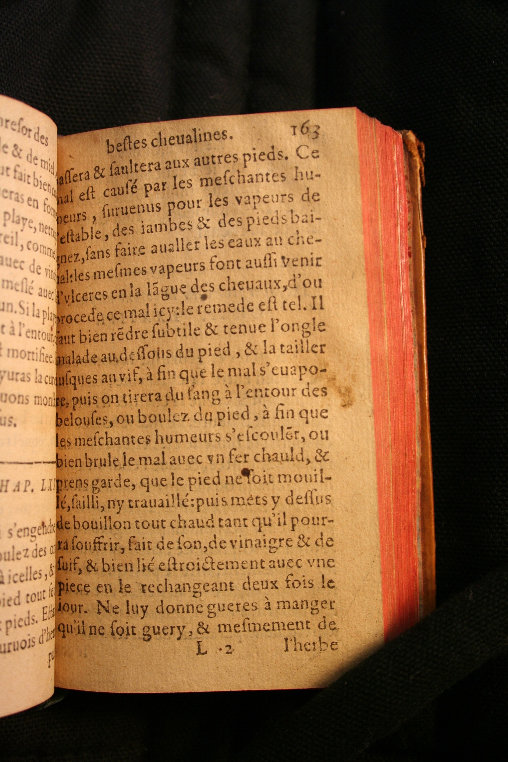 1591 - Pierre Chastaing et Benoît Rigaud - Trésor des bêtes chevalines - BM Bordeaux
